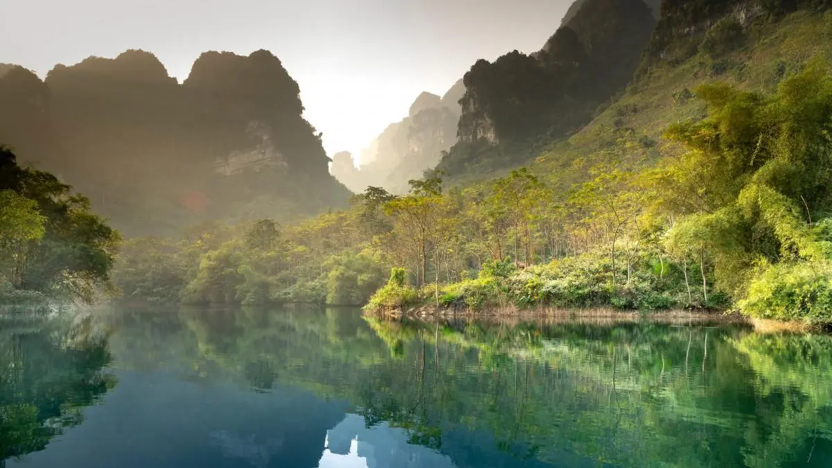 智能系统高端自动化